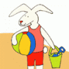 Bunbun at the Beach