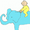 Curious Baby & the Animals