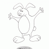 Funny Bunny