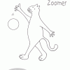 Hide in Seek Zoomer