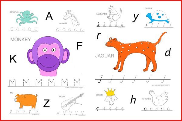 Alphabet Tracing Preschool Kindergarten Workbook