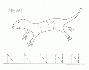 Letter N Alphabet Tracing Worksheet