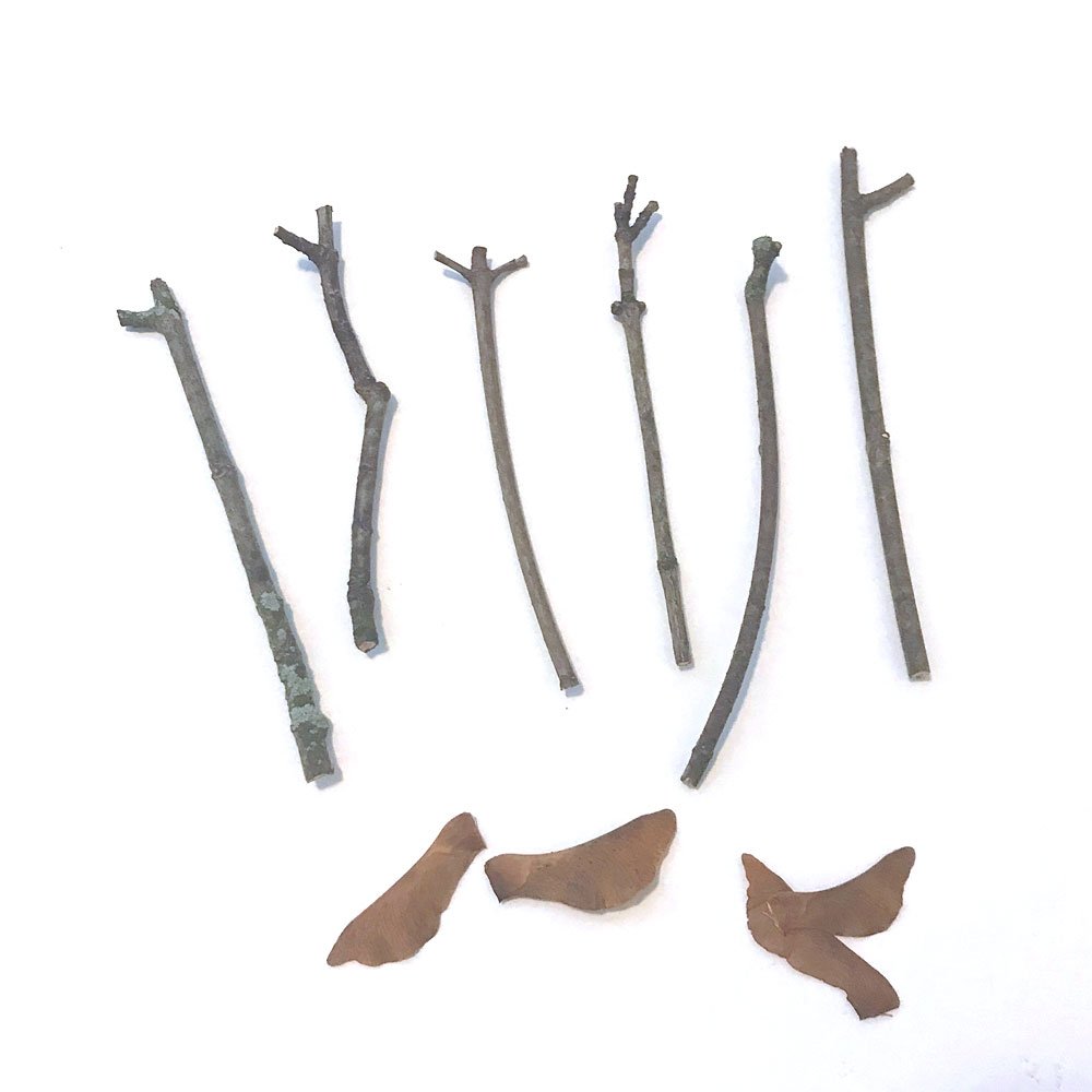 Twig crafts